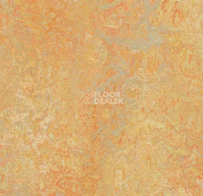 Линолеум Forbo Marmoleum Decibel on Order 341135 sunny day фото 1 | FLOORDEALER